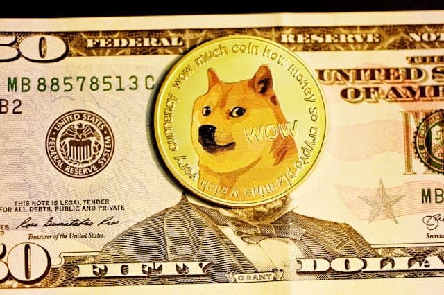 Kabosu, Iconic Doge Meme Shiba Inu, Passes Away - A Legacy in Crypto Investments